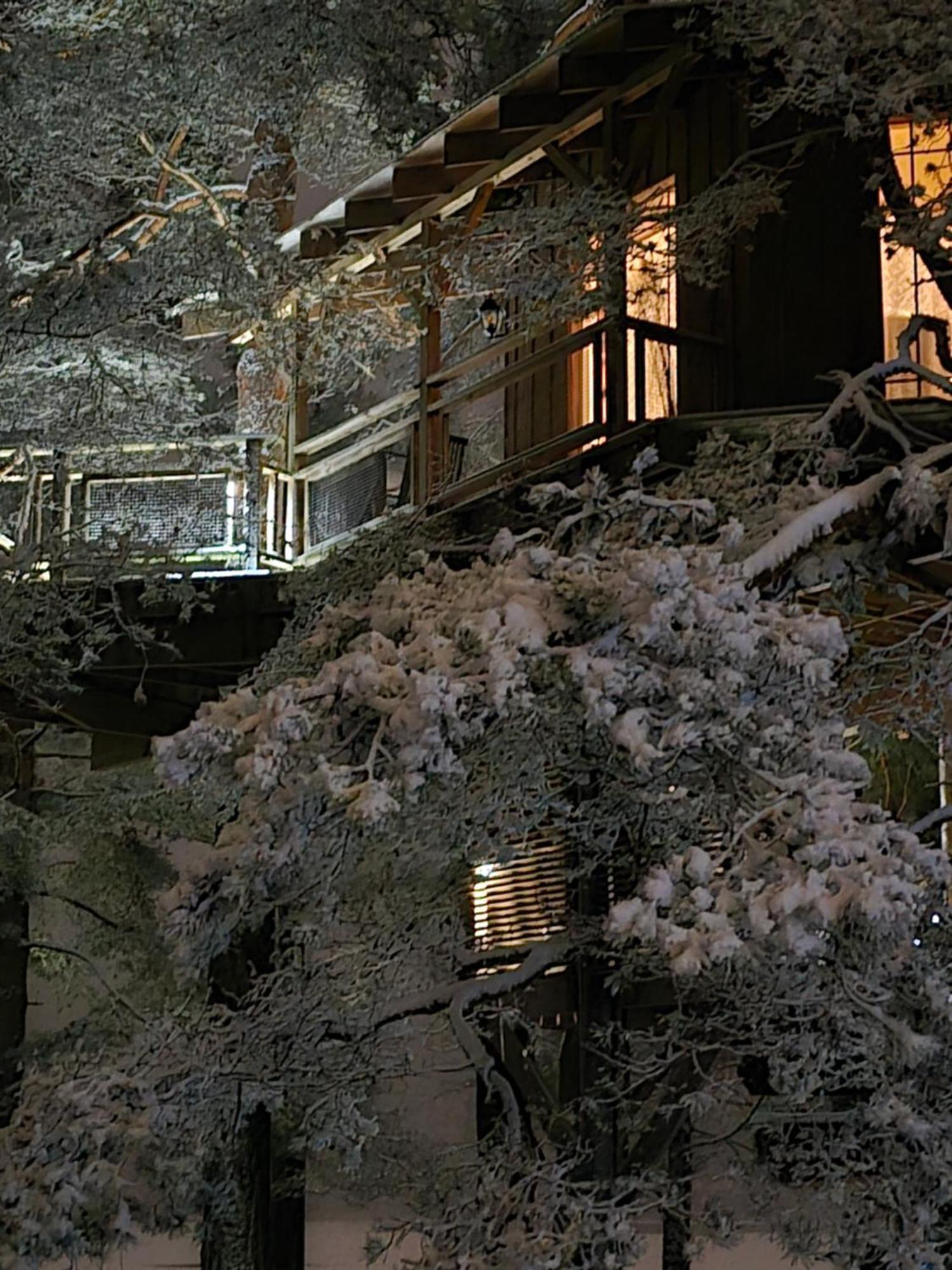 Treehouse Ciekurs Villa Dukuri Luaran gambar