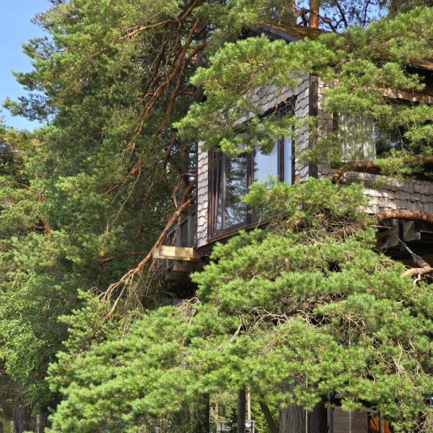 Treehouse Ciekurs Villa Dukuri Luaran gambar