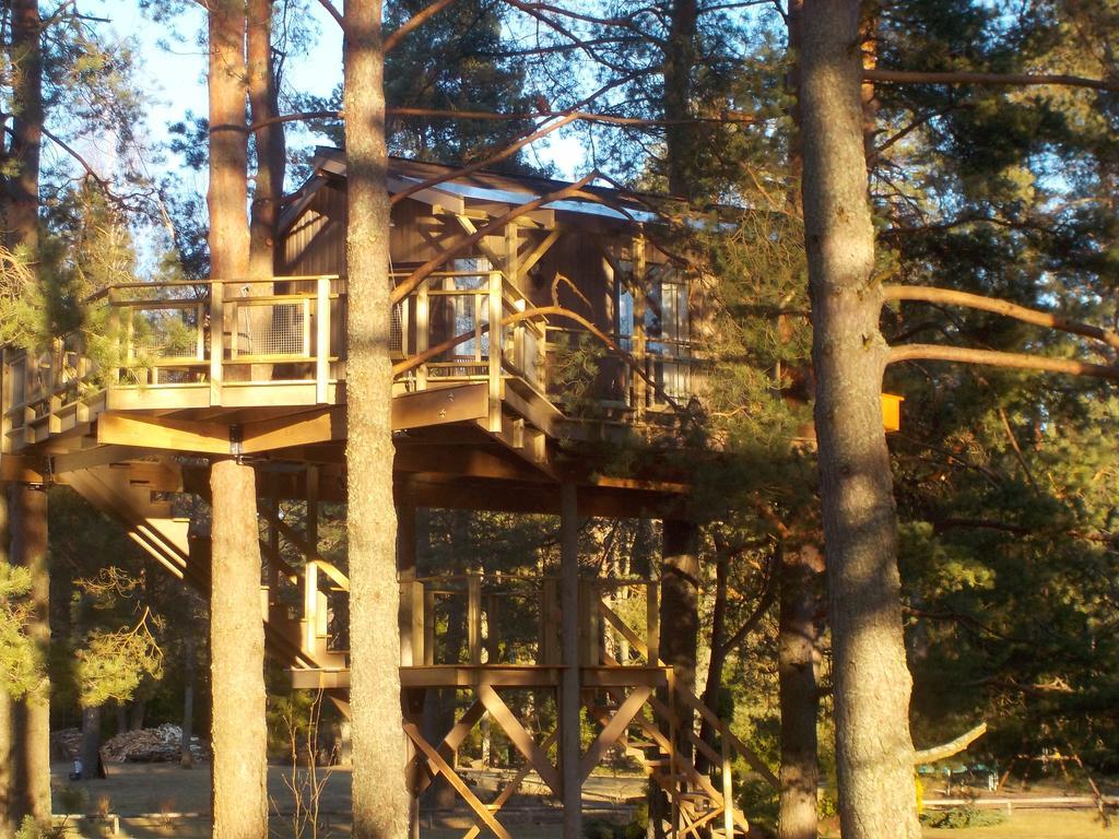 Treehouse Ciekurs Villa Dukuri Luaran gambar