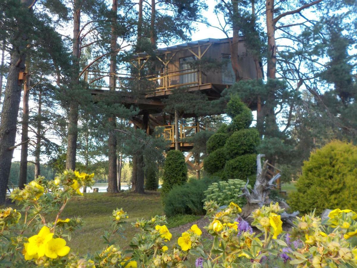 Treehouse Ciekurs Villa Dukuri Luaran gambar